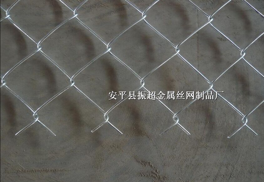 不锈钢丝网-www.zhenchaosw.com